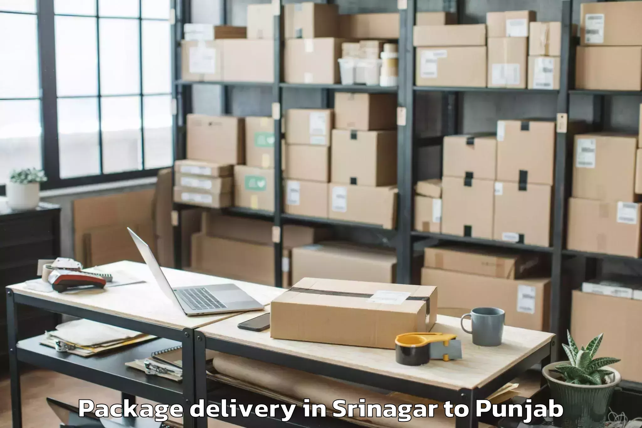 Srinagar to Pathankot Package Delivery Booking